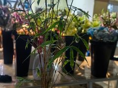 -长春青怡坊鲜花批发(青怡坊花鸟市场店)