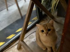 -咖法森林·咖啡  酒吧(天河店)