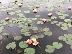 -红山村