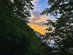 -萍乡武功山风景名胜区