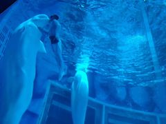 -上海海昌海洋公园-停车场