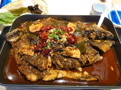 -鱼酷活鱼烤鱼(沈阳大悦城店)