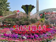 -南山植物园