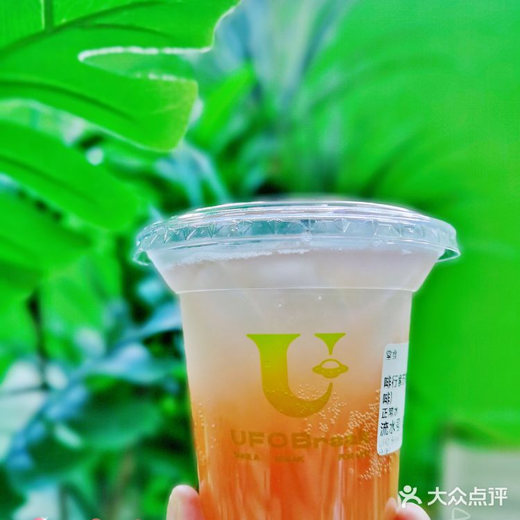 这是个绿色森林