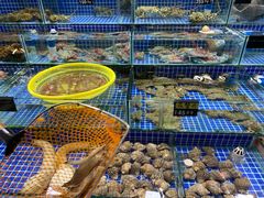 -板桥海鲜广场(文明东店)
