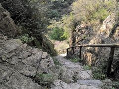 -九龙潭景区