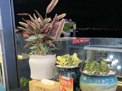 -野菌皇海景野生菌火锅(滨海大道店)