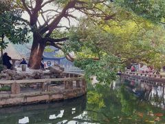 -西园戒幢律寺