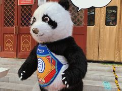 -眉州东坡(亚运村店)