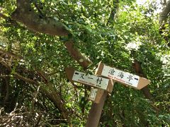 -鹅銮鼻公园