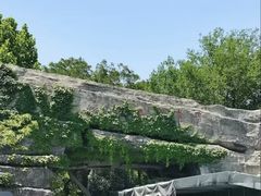 -合肥野生动物园