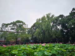 -四川大学(望江校区)