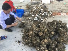 -濠轩阁特色生蚝火锅(水湾路店)