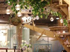 大堂-共舞时光猫咖·狗咖(新街口店)