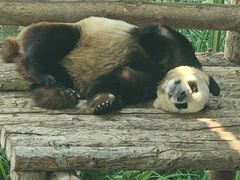 -大连森林动物园