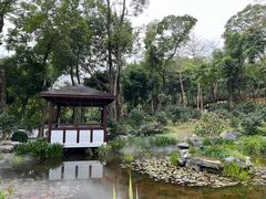 -深圳国际园林花卉博览园