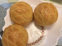 -新兴·金羊座·粤菜点心(乐峰店)