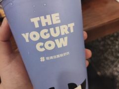 -一只酸奶牛(春熙路店)