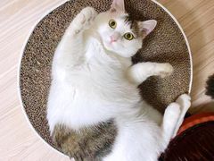 -西宁福茵长乐国际大酒店