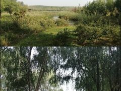 -东郊湿地公园