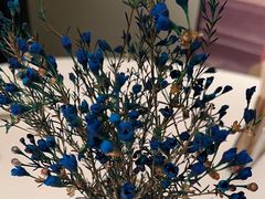 -顺峰(农展馆店)