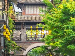 -武汉园博园(武汉自然博物馆)