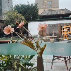-保丽宝泰母婴护理院·月子中心·产康·中医(常州店)