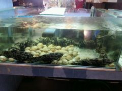 -真浪大家乐海鲜餐馆