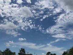 -东华大学(松江校区)