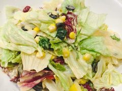 -辛德勒啤酒德餐厅