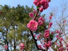 -元大都城垣遗址公园