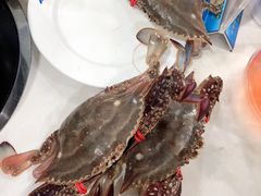 -春华海鲜城(广场西苑店)