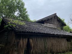 景点-西溪国家湿地公园
