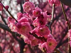 -杭州口腔医院(城西院区)