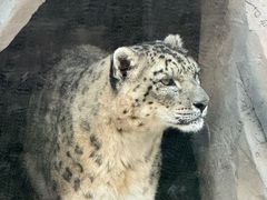 -青藏高原野生动物园