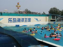 -秦皇岛乐岛海洋王国