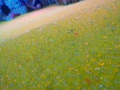 -兴芮温泉度假区