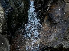 -广州白江湖森林公园