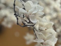 -徐家汇天主堂