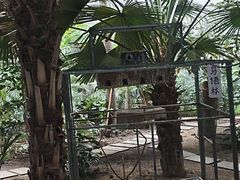 -黑龙江中医药大学附属第一医院