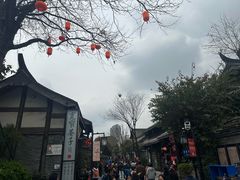 -院8里·少城记忆老川菜(宽窄巷子店)