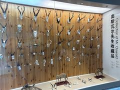 -北京麋鹿生态实验中心