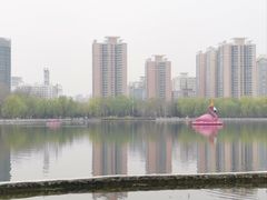 -莲花池公园