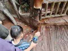 -长鹿旅游休博园