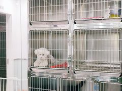 -宠福鑫康馨动物医院·骨科·眼科