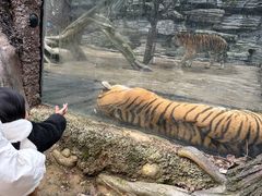 -贵州森林野生动物园