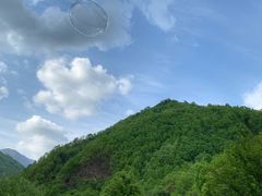 -牛背梁国家森林公园