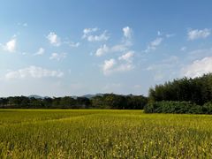 -良渚古城遗址公园