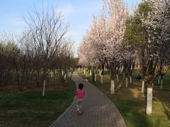 -洨河生态公园