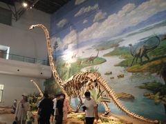 -自贡恐龙博物馆